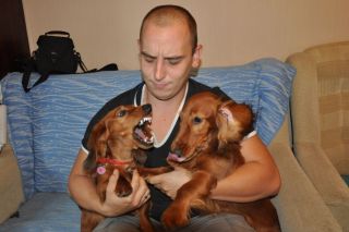 NADIM jamniki Kollapsar